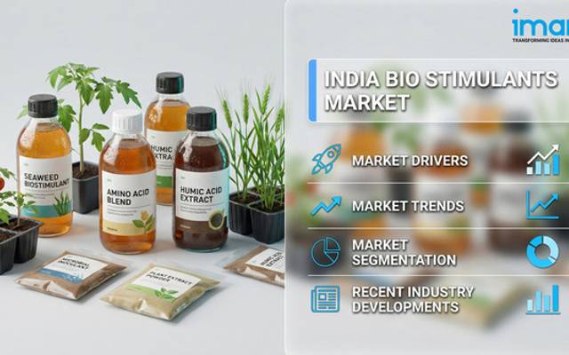 India Bio Stimulants Market Outlook 2034: Demand Trends and Growth Analysis 
