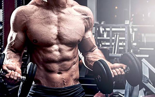 Best Supplements For Muscle Growth And Recovery Lifestyle Habits: The Real Transformation Formula