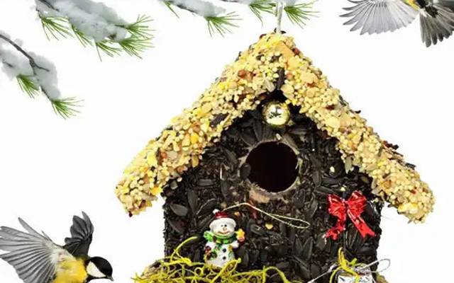 Bird Seed Wreaths: Attract Birds Naturally
