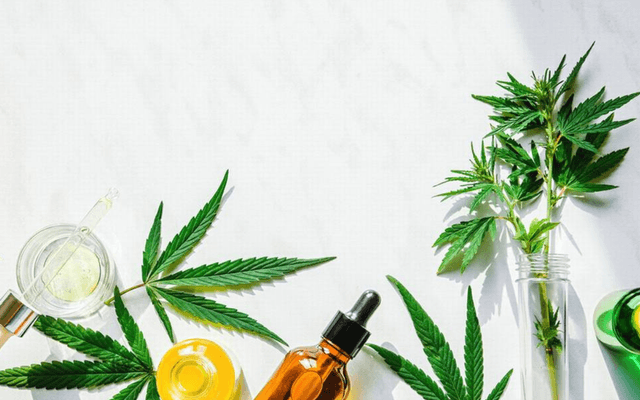 Planta CBD Gummies : Myths And Facts Revealed!