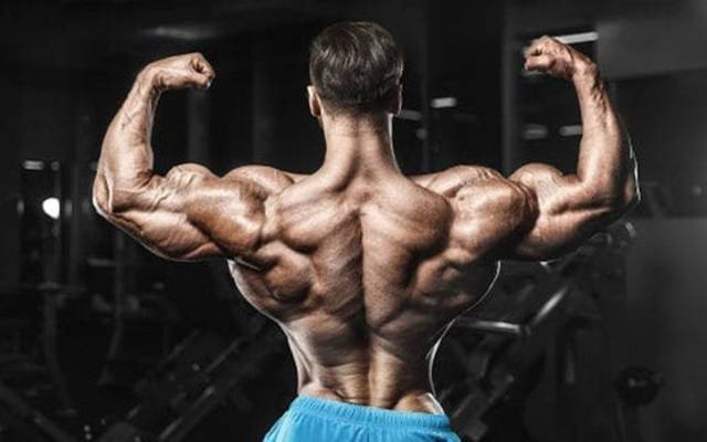 Best Legal Steroids for Athletes: Legal Performance Boosters for Speed, Strength & Recovery