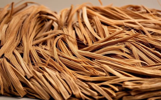 Coir Fibre Price Trend: Understanding Market Movements and Industry Growth