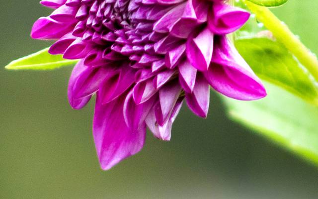 Fotografar a Natureza: O hobby dentro do trabalho!