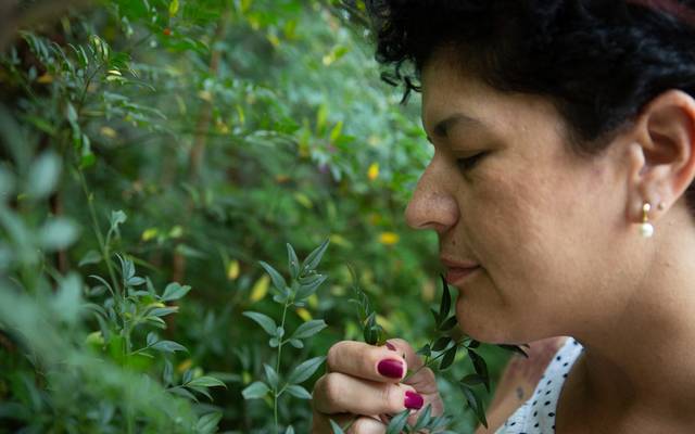 Um pouco da minha história