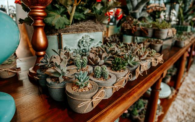 Inspirações de Decoração