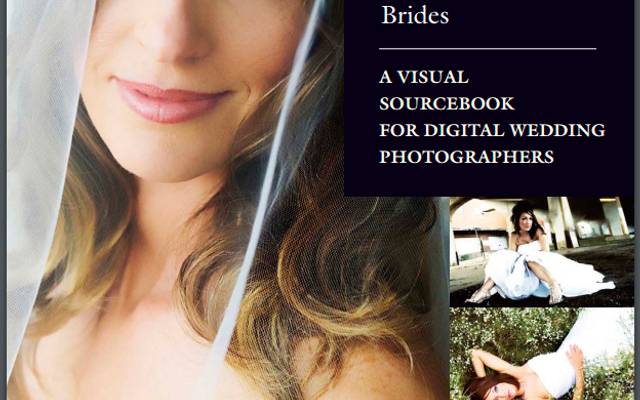 500 poses para Noivas / Michelle Perkins