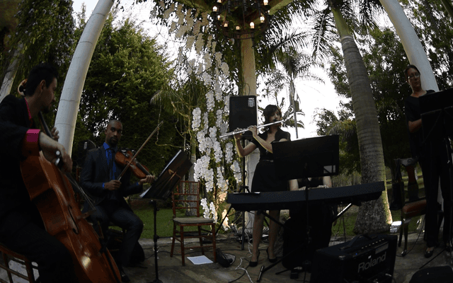 Músicas para Casamento - La Vie En Rose
