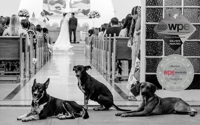 Uma das fotos mais fofas que você verá hoje.