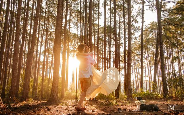 Um pré-wedding em Floripa é sempre uma inspiração!