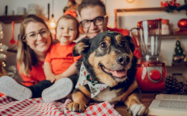 E assim, O NATAL CHEGOU! 🎄