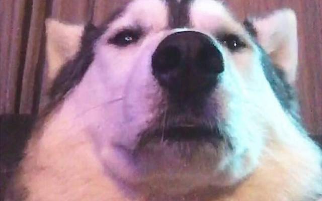 Por que é importante usar fotografia pessoal de qualidade no seu perfil?