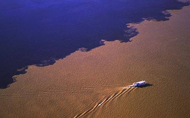 Com o Norte o Nordeste se mistura Nas palavras do homem do sertão.