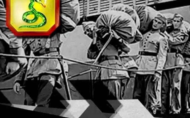 L'IMPORTANZA DEL ESERCITO BRASILIANO IN ITALIA