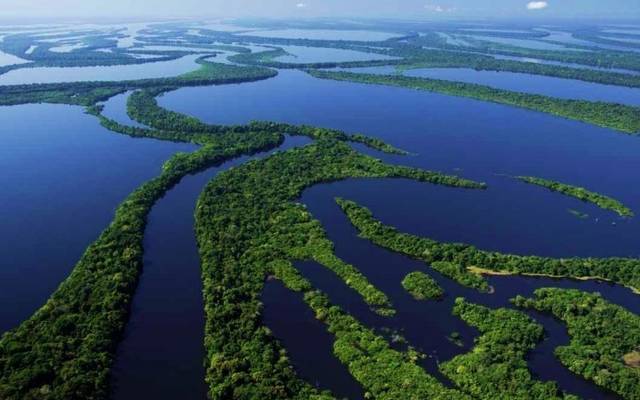 Amazônia, patrimônio da vida.