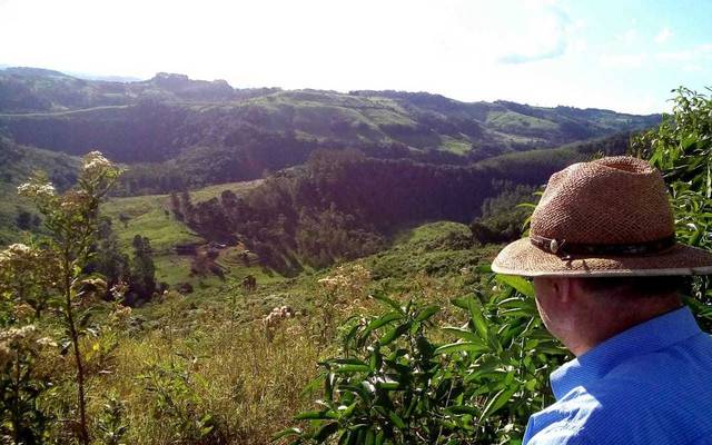 Imigração italiana no Brasil  