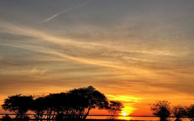 8 Dicas de Fotografia Para Fazer Fotos Incríveis no seu Dia a Dia