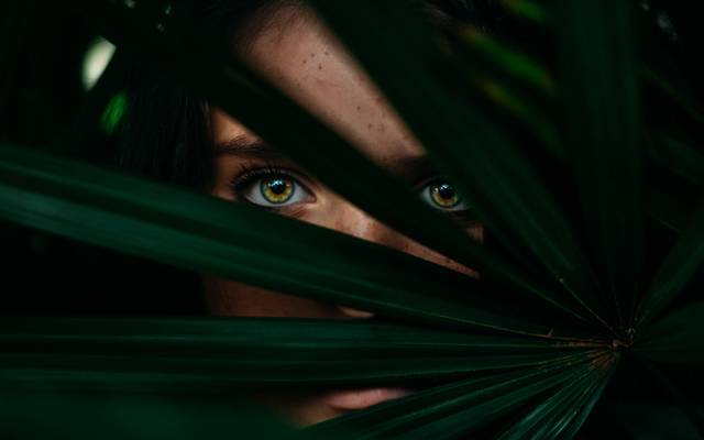 Como eu sinto a fotografia. - Dia Internacional da Fotografia