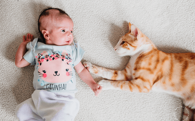 Tudo o que você precisa saber sobre o ensaio lifestyle de família