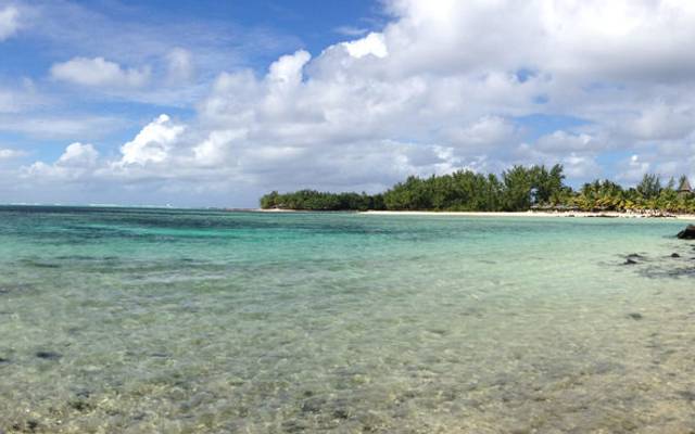 A Flor de Maurício - Backup, muito backup