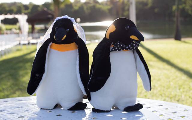 Amor de Pinguim
