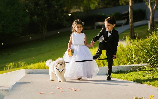 Melhores fotografias de casamento, divertidas e espontâneas 2020.