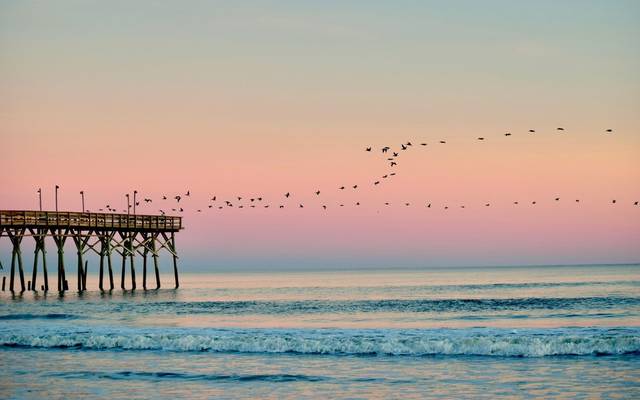 16 Tipos de Fotografia: Qual é a ideal para você?