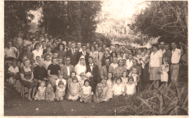 A fotografia e os álbuns de família 