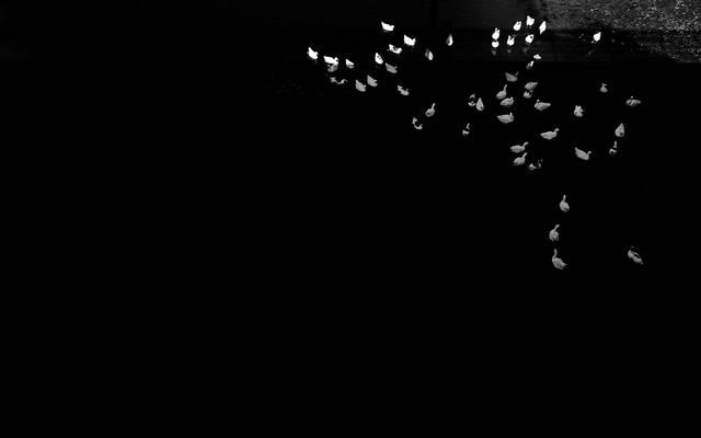 22 dias, 4 países, 2 continentes