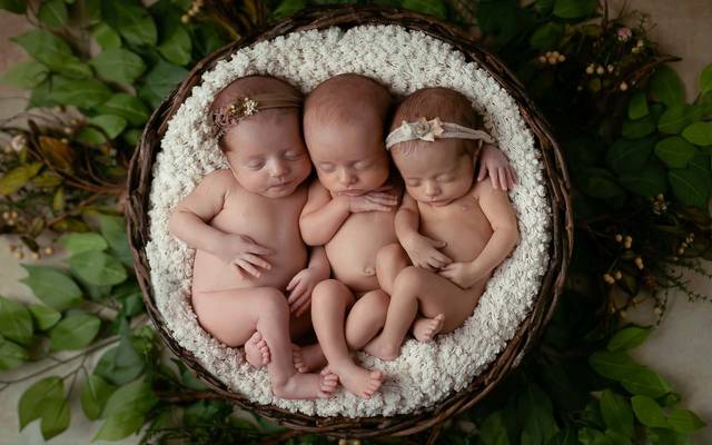 Workshop Newborn Princípio ONLINE