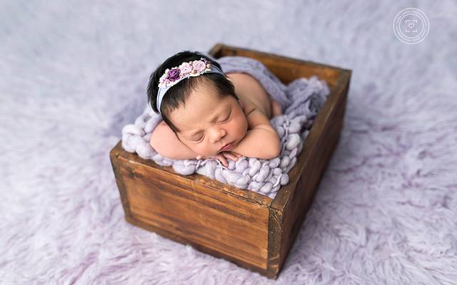 Quero fotografar newborn! Que equipamento devo comprar?