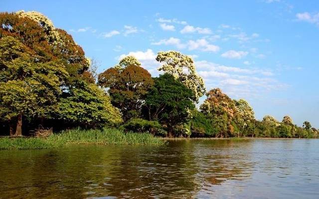 Senhor desaparece após sair para pescar no Murituba 