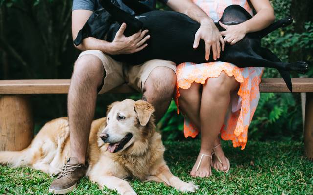 Pré-wedding Bia e Dani!