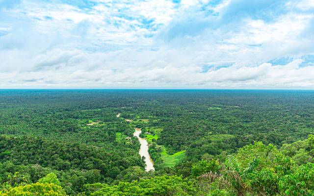 O Olhar para a Amazônia