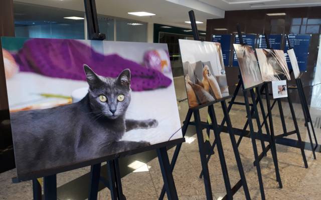 Exposição Fotográfica