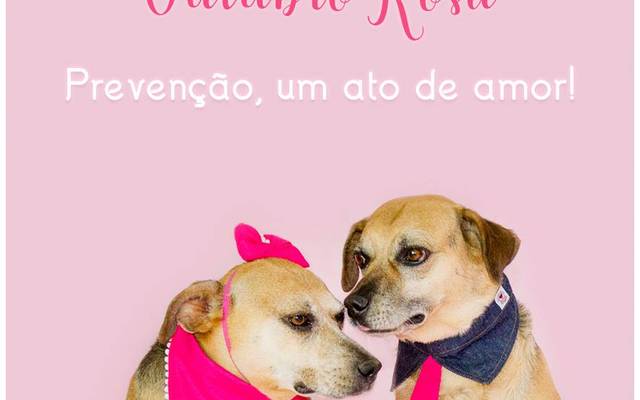 Outubro Rosa Pet