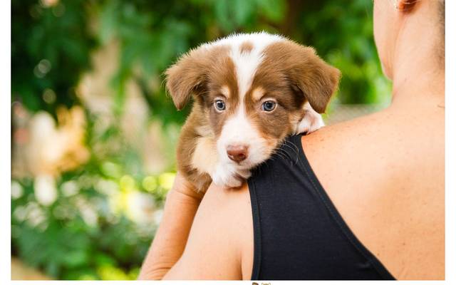 3º Encontro de Raças - Todas as Raças