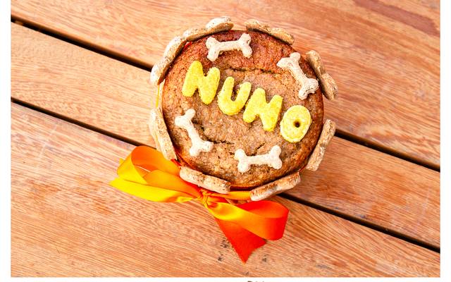 Festa de Aniversário Pet! Como fazer?