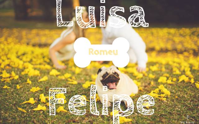 Posso levar o meu Pet para o ensaio?