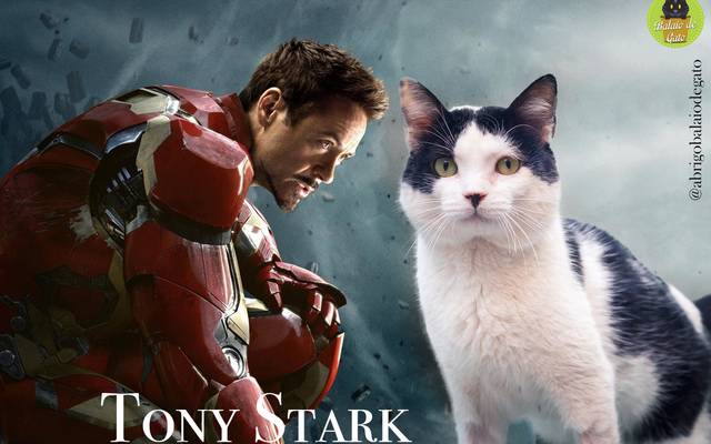 Vingadores no Abrigo Balaio de Gato