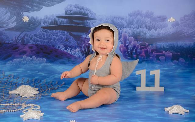 Algodão Doce Fotografia - Cenários 2019
