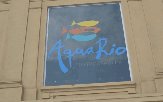 Um mergulho pelo Aquário Marinho do Rio de Janeiro 