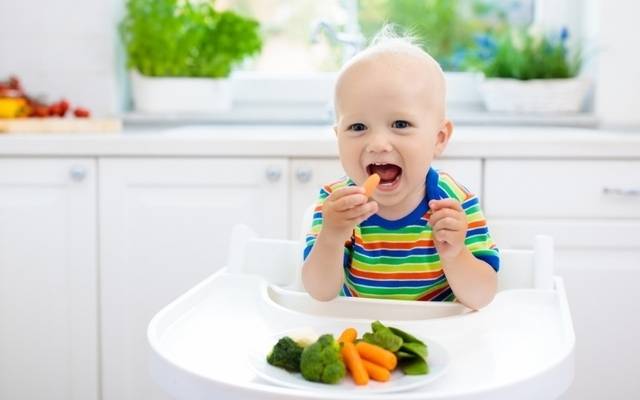 BLW ou Baby Led Weaning