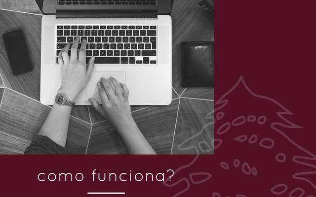 COMO FUNCIONA?