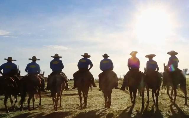 Produtora de vídeo SP - Tradução e Legendas - Agro Maripá