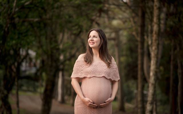 Orçamento de Gestante