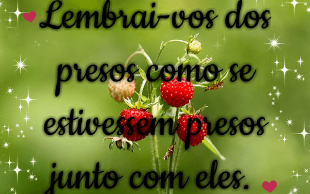 Prisioneiros - Alcançar além das grades