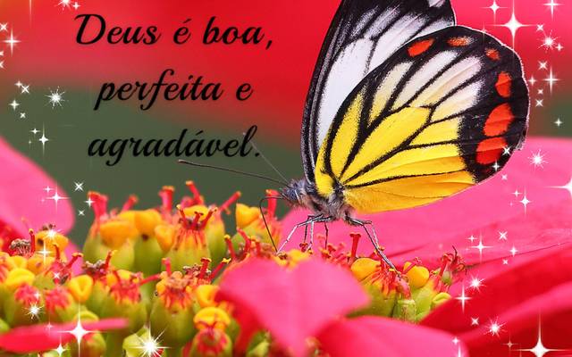 Vontade de Deus - Conformando-se com seu propósito