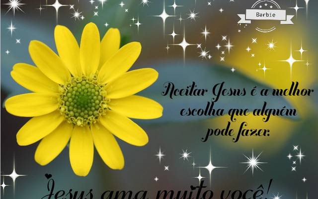 Aceitei Jesus e agora?