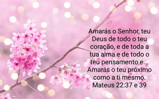 Conflito - Resolvendo os desentendimentos