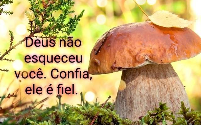 Deus nos responde perguntas dificeis